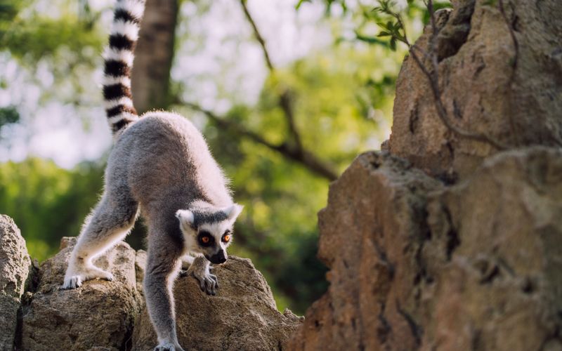 Featured image for “10 The Long Tail Strategies That Actually Work”: The Long Tail