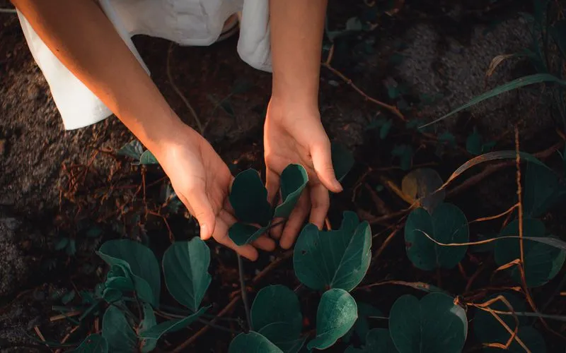 Featured image for “5 Lead Nurturing Strategies That Work”: Lead Nurturing